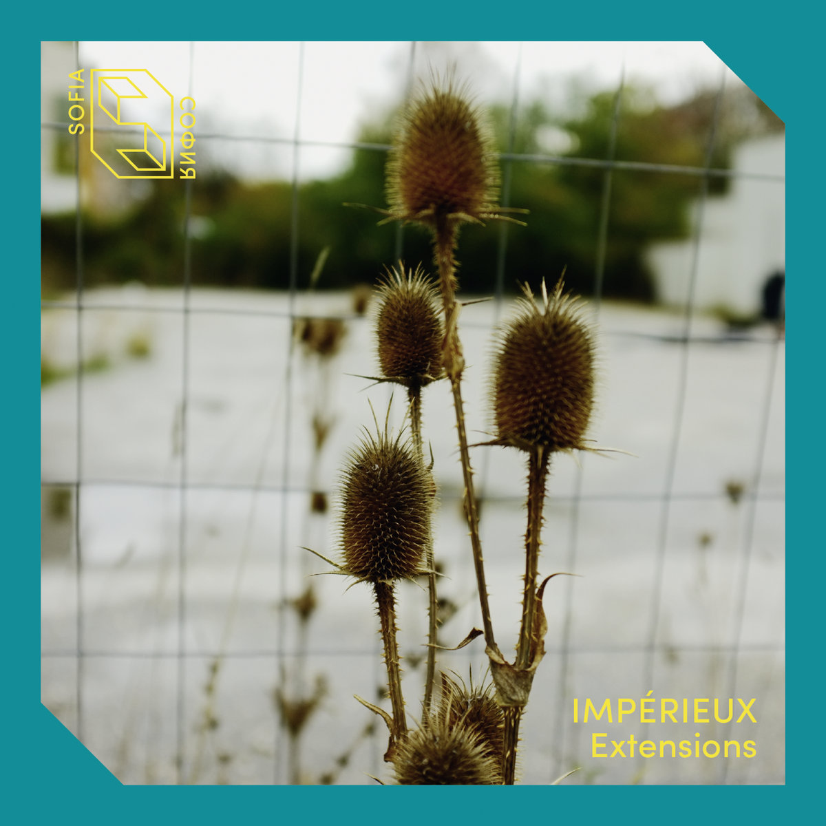 Extensions cover art